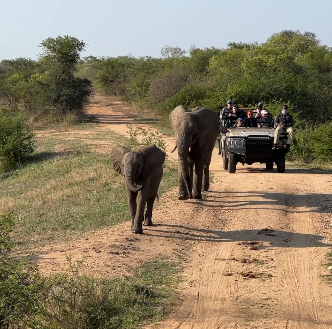 Impact Story: A South African Incentive Trip That Built Connection and Inspired Future Growth